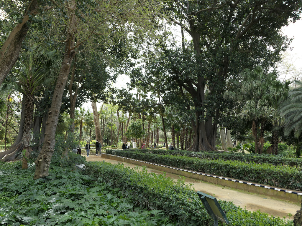 Photo 3 de l'article 1