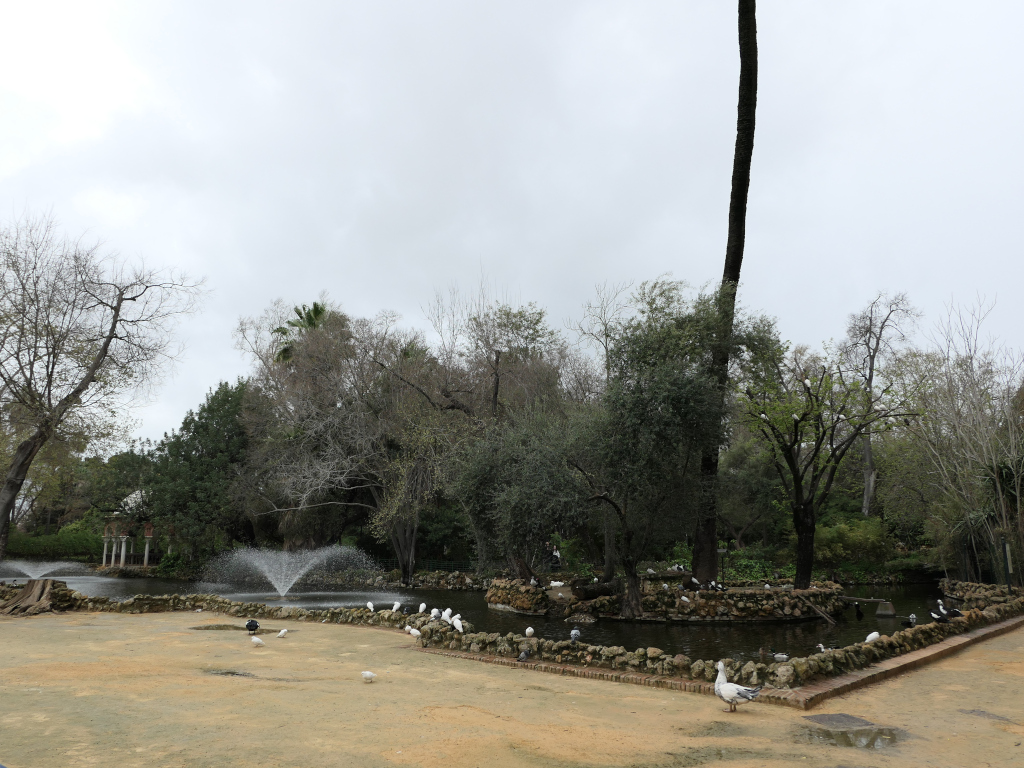 Photo 3 de l'article 1