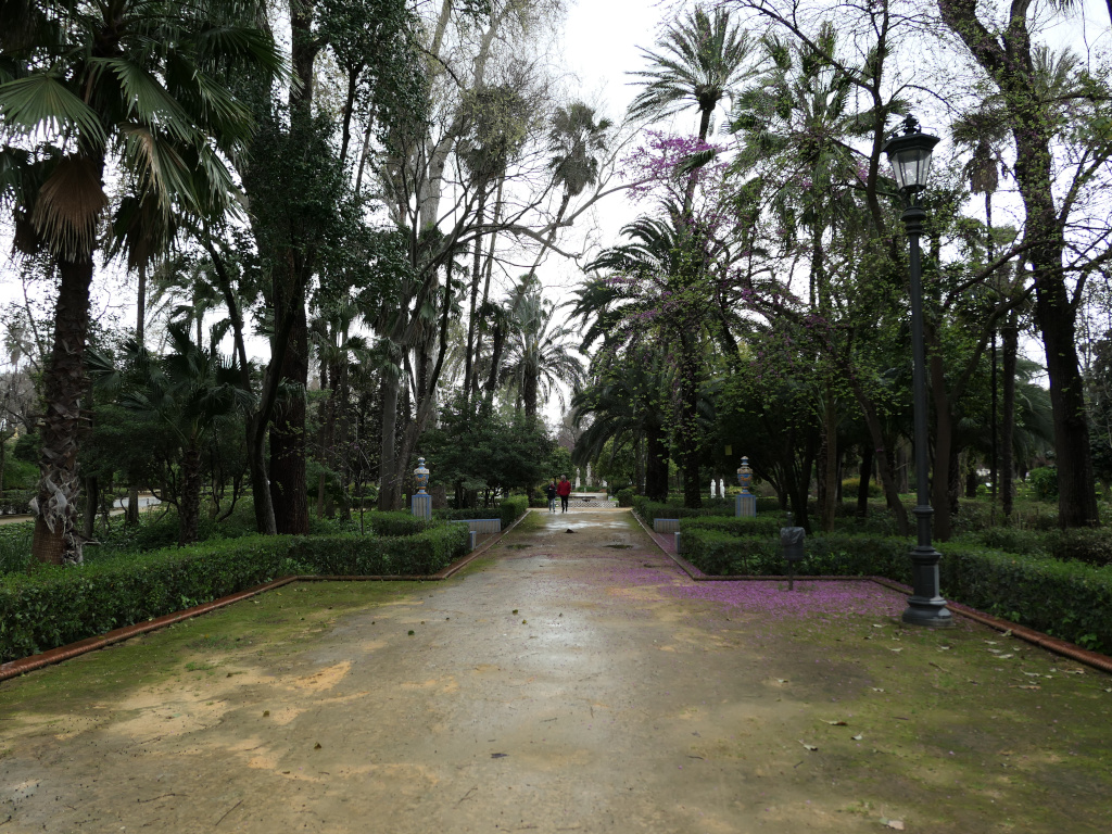 Photo 3 de l'article 1