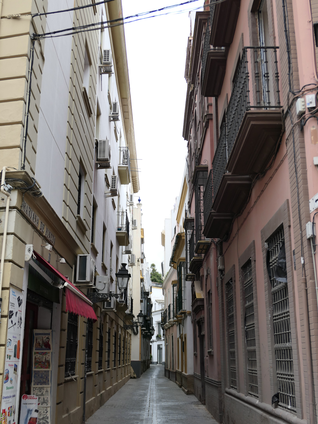 Photo 3 de l'article 1