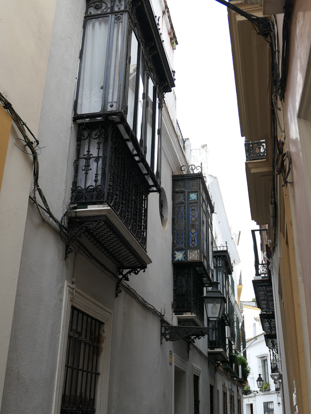 Photo 3 de l'article 1