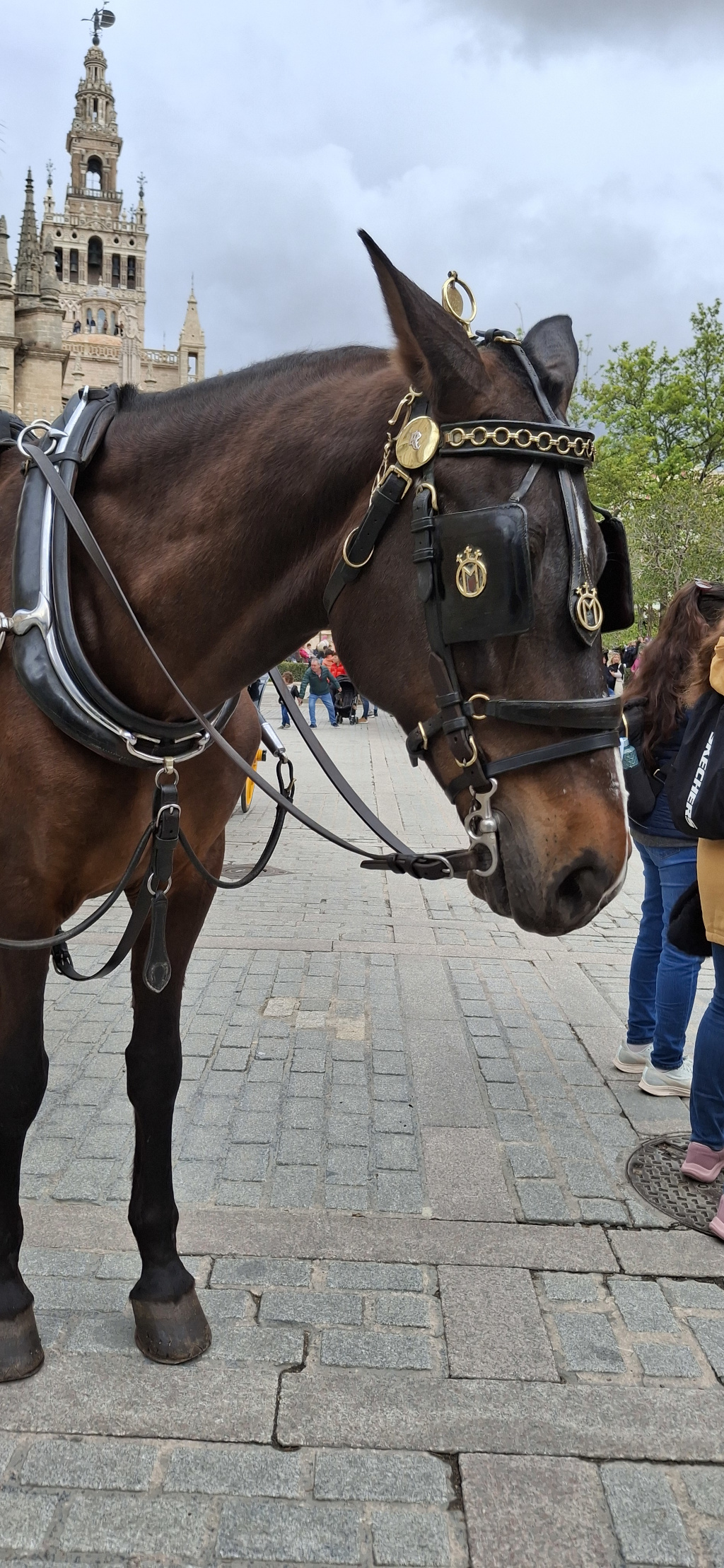 Photo 3 de l'article 1