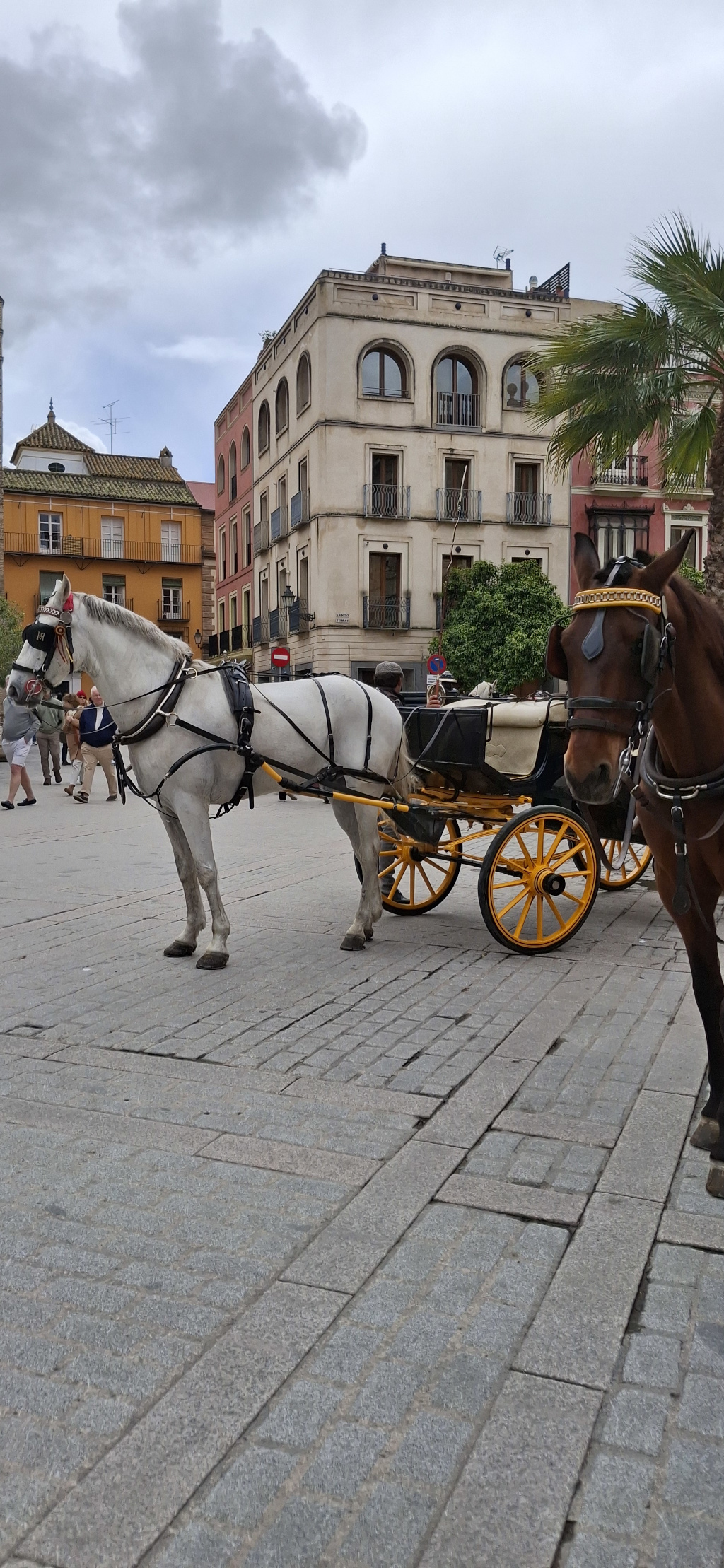 Photo 3 de l'article 1