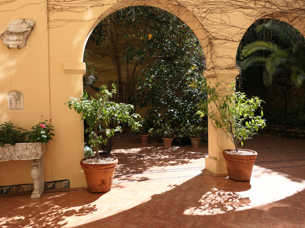 Photo 3 de l'article 1